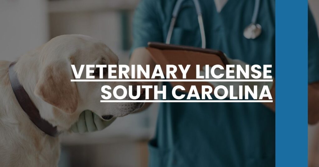 Veterinary License South Carolina Feature Image