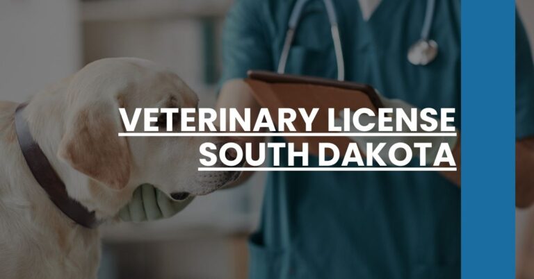 Veterinary License South Dakota Feature Image