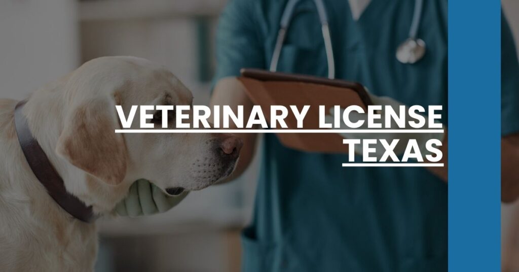 Veterinary License Texas Feature Image