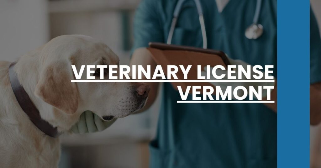 Veterinary License Vermont Feature Image